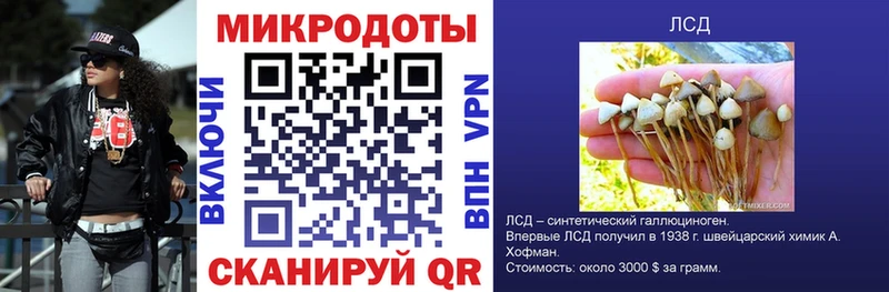 нарко площадка официальный сайт Новомичуринск Псилоцибиновые грибы GOLDEN TEACHER